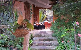 El Paraiso - B&B Finca San Vicente